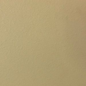 Meet your Posher, Todd